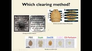 Light-sheet microscopy