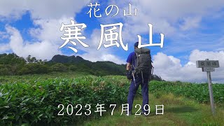 【登山】夏の花の山・寒風山　2023年7月29日（高知県/愛媛県）【登山　高知】【登山　四国】