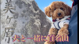 絶景！美ヶ原に行ってきたよ！犬に優しい山。