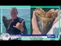 Cool find! Florida diver picks up megalodon tooth in Venice