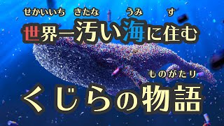 【絵本 読み聞かせ 】『世界一汚い海に住むくじらの物語』(朗読:横手チサ)