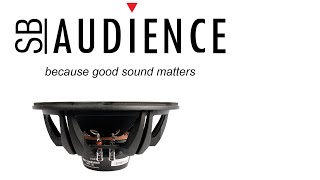 Who is SB Audience ? And should you Care?