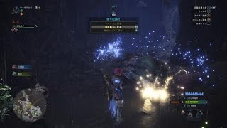 [MHW]調査（蛮顎竜、蒼火竜） 2:37 高速周回 HRあげ