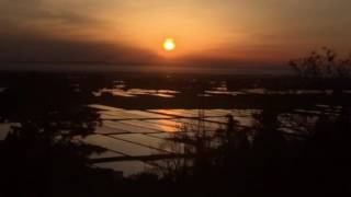 日本海に沈む夕陽と水田