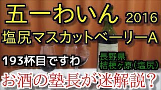 【ワイン】【五一わいん　塩尻マスカットベーリーA】お酒　実況　軽く一杯（193杯目）　ワイン（赤・日本ワイン）　五一わいん　塩尻マスカットベーリーA　2016