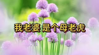 《我的老婆，是母老虎》作者刘小念