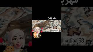 از روزی ک پیداش کردم ی دستش نبود    اوردمش خونه ازش میترسیدم الان باهاش دوستم