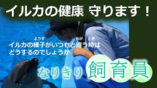 【名古屋港水族館生き物情報局】イルカの健康守ります【なりきり飼育員】