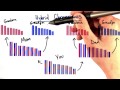 Hybrid Chromosomes - Tales from the Genome