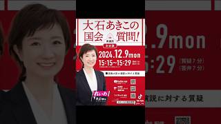 #大石あきこ #国会質問 #れいわ新選組 2024年12月9日15時15分