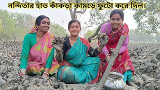 সুন্দরবন নদীর চরে খাদ খুঁড়ে বড়ো সাইজের কাঁকড়া পেলাম কিন্তু বিপদে পড়লাম Nandita Sundarban life