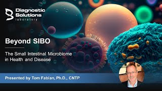 Beyond SIBO The Small Intestinal Microbiome in Health and Disease