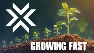 🚨 LCX: FASTEST GROWING REGULATED EXCHANGE!!!!🚨