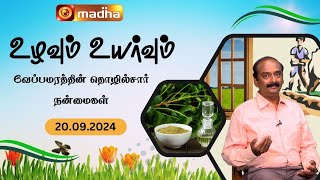 வேப்பமரத்தின் தொழில்சார் நன்மைகள் | Uzhavum Uyarvum | 20.09.2024 | #madhatv