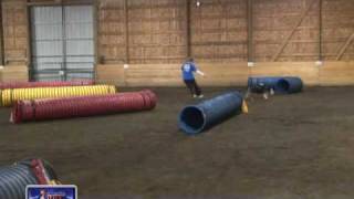 Kristy Tally and Sadie - NADAC Agility, Elite Tunnels