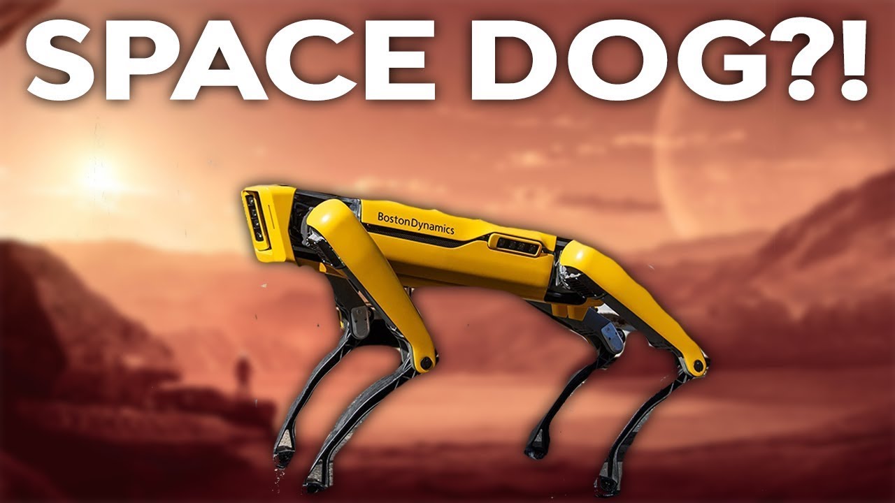 SpaceX Reveals New Robot Space Dog - YouTube