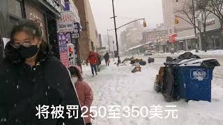 纽约2022年第一场雪  朋友圈刷爆了 瑞雪兆丰年啊