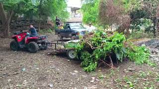 zacualpiando | zacualpan nayarit