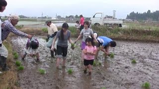 西山形の酒を造る会　田植え 　２０１４