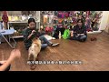 2019年3月米拉幼幼班 鬆獅犬muta