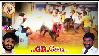 gr Karthi kd | gr Karthi | jallikattu peravai | madurai jallikattu | pgp jallikattu