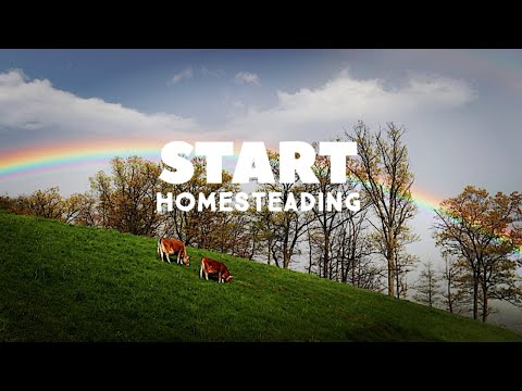 START HOMESTEADING TODAY - YouTube