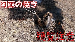 【観覧注意】２０２２野焼きしてたら〇体発見！