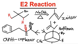 E2 Elimination Reaction - Mechanism, Zaitsev and Hoffman, E and Z, Beta Hydrogen- Organic Chemistry