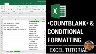Excel Tutorial COUNTBLANK & Conditional Formatting Blank Cells