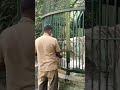 കടുവയെ കുളിപ്പിക്കുമ്പോള്‍ tiger trivandrumzoo