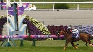 2016 第153回 天皇賞(春)(ＧⅠ) 現地撮影 キタサンブラック Tenno Sho (Spring) (G1) Kyoto Racecourse 2016.05.01 20