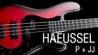 Haeussel PB4SP + JB4DP