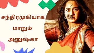 சந்திரமுகியாக மாறும் அனுஷ்கா | JJ Television