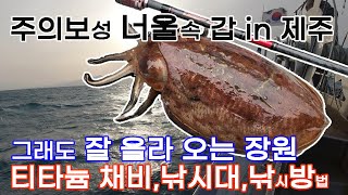 심한 너울속 갑오징어낚시 성공, 티타늄채비와 낚시대, 대처 낚시방법