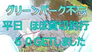 ２０１８夏　グリーンパーク不忘 その２　今回は６０UPの大型赤身出ました・・・