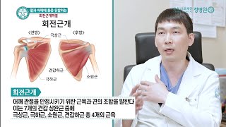 회전근개파열 원인, 증상, 치료법, 예방방법