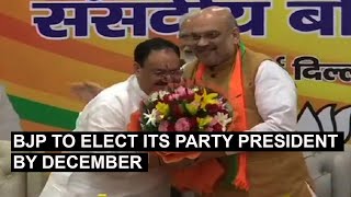 BJP to elect its party president by December