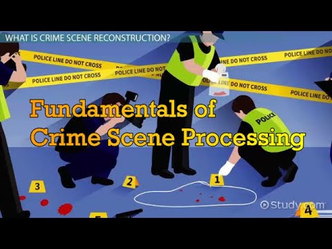 Who is the scientist that maintained that when a criminal came in contact with an object or person a cross transfer of evidence occurred?