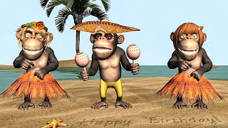 Funny Happy Birthday Song. Monkeys sing Happy Birthday To You