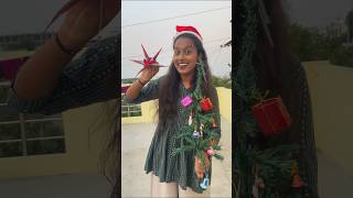 Decorating ₹100 christmas tree