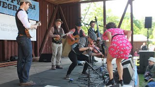 Brown skinned Girl - Miss Moonshine dances w Wasel and the Weasels - Ruotsinpyhtää festival, Finland