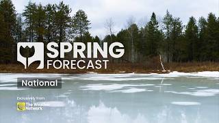 Canada's 2026 Spring Forecast: How a Fading La Niña Will Impact Spring | #springforecast