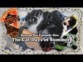 LINE Traveling Circus 6.1 The Cat Days of Summer