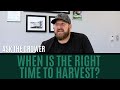 Ask The Grower - When Is It The Right Time To Harvest?