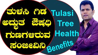 Tulsi Benefits | Ayurveda tips in Kannada | Mane Maddu | ತುಳಸಿ ಗಿಡದ ಮಹತ್ವ | Praveen Babu