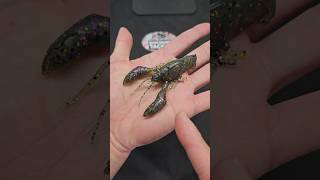 Megabass Sleeper Craw Unboxing #fishing #bassfishing #fishingvideo