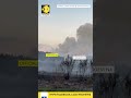 Large wildfire rages in northeast Argentina I WION Shorts