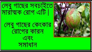 লেবুর/লেবু গাছের ক্যাংকার রোগ,প্রতিষেধক,দমন, প্রতিকার || lebu gacher kankar rog, Lemon/Citrus canker