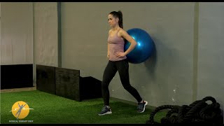 Lunge with Swiss Ball Support