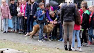 Jonge scholieren maken kennis met politiehonden tijdens demonstratie op dierendag